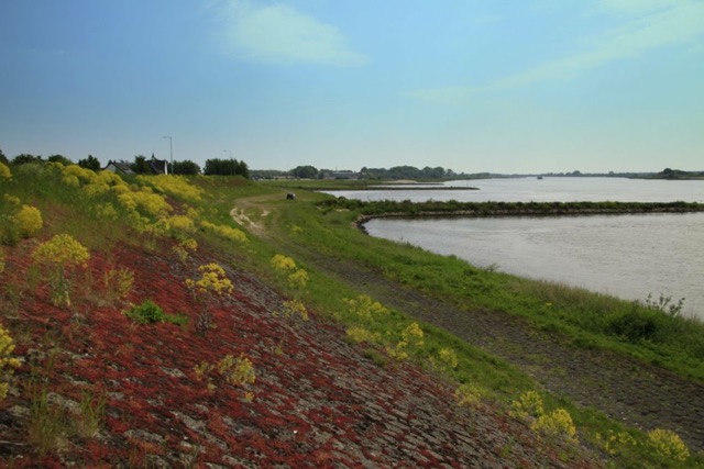 Kouweklauwen-034-de_dijk_bij_Hellouw.png