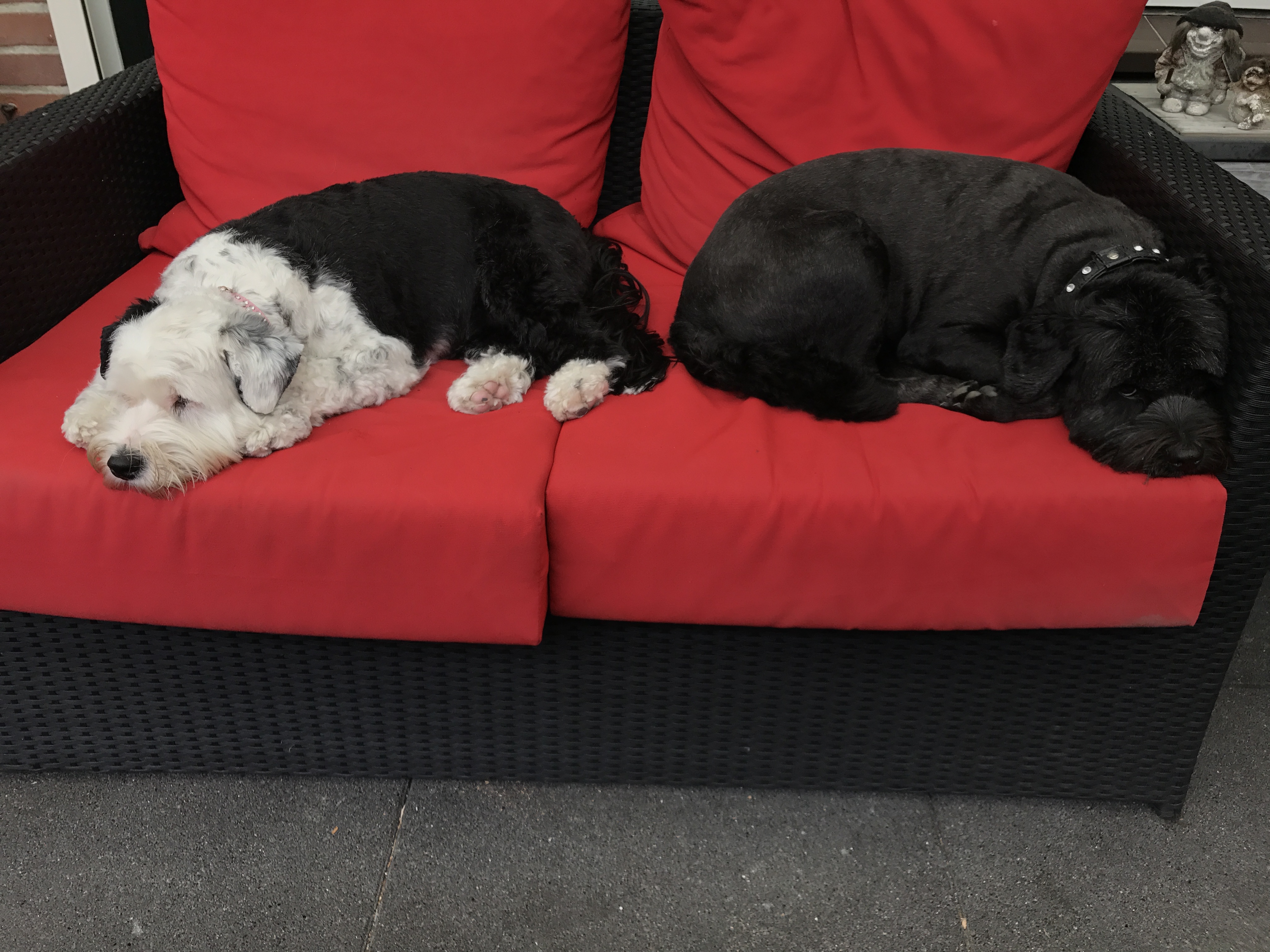 HONDJES